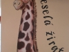 cimg2660